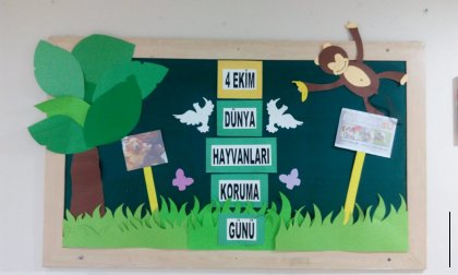 4 Ekim Hayvanları Koruma günü 2019-2020